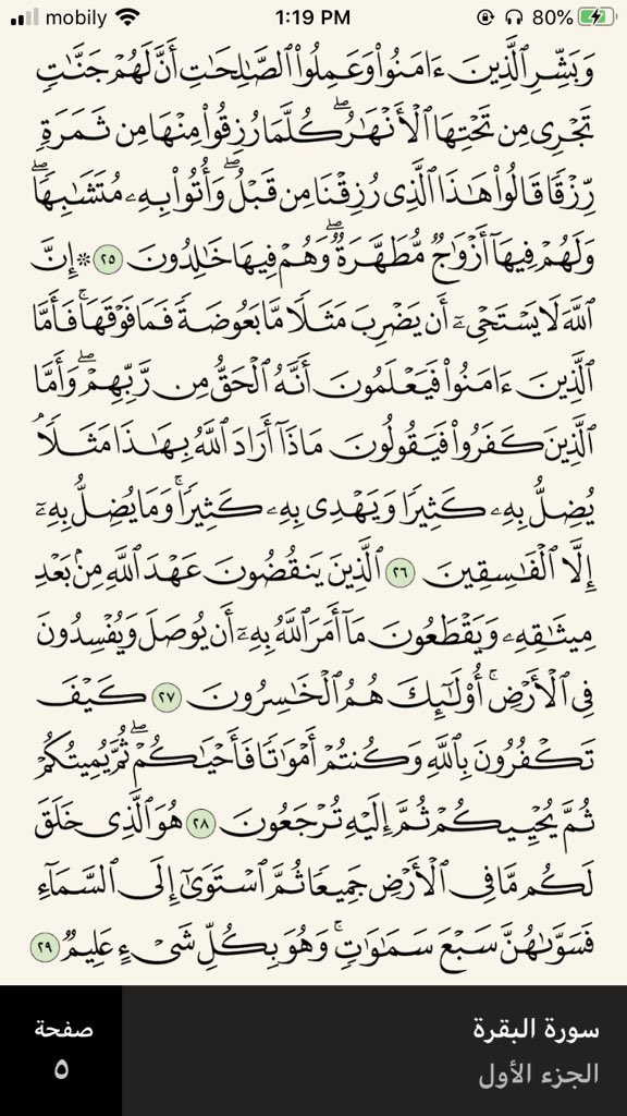 سوره البقرة كاملة ماتاخذ منك نص ساعه اجر لي ولمن مر ورتوت لعلها تكون شافعة❤️