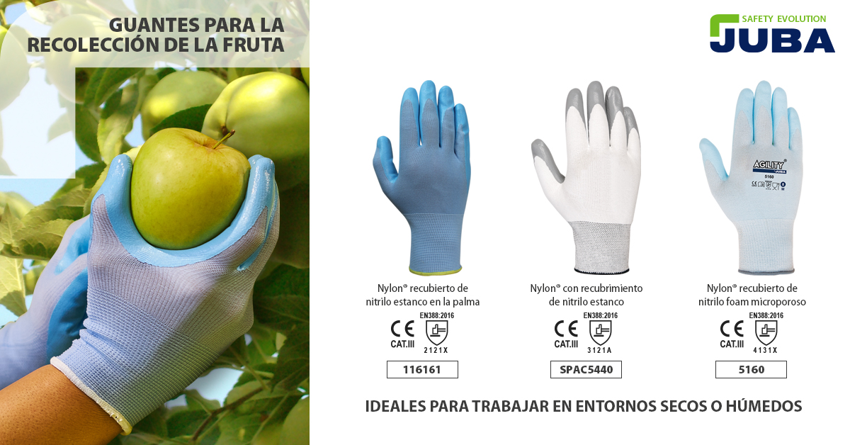 jubaprotection's tweet photo. Guantes para la recolección de la fruta, Ideales para trabajar en entornos secos o húmedos (https://t.co/vN6SbrjC2r).
#guantestrabajo #protección #EPI https://t.co/kpGn2Y7om1