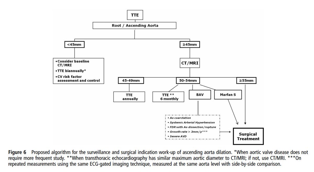 A 2014 review in  @Heart_BMJ suggested follow-up of root/ascending aortic aneurysms as described in the diagram below, with TTE every 2 yrs when <45mm increasing to yearly when 45-49mm and 6 months when 50-54mm https://heart.bmj.com/content/100/12/909.info 9/n