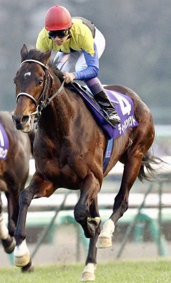 MarubeniTakashi's tweet photo. Today is one year since the death of Japanese treasure horse Deep Impact.  All horse racing fans in Japan mourn for the great horse.
#DeepImpact #Deep_Impact
#ディープインパクト #英雄 https://t.co/L7CKnd8pzX