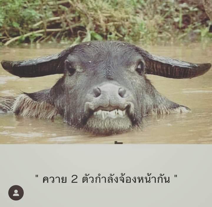 moton991's tweet photo. #อาชีวะช่วยชาติ https://t.co/5iUrjSZKSF