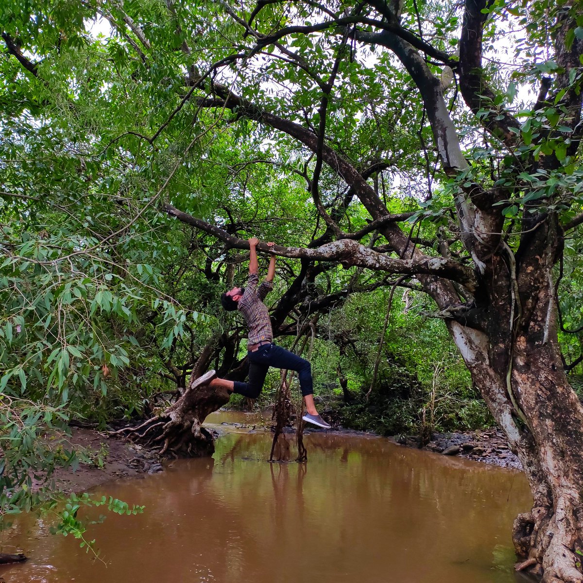 ભૂત👹 ને પીપળો🌳મળી રહેતો હોય તો મને.....😃