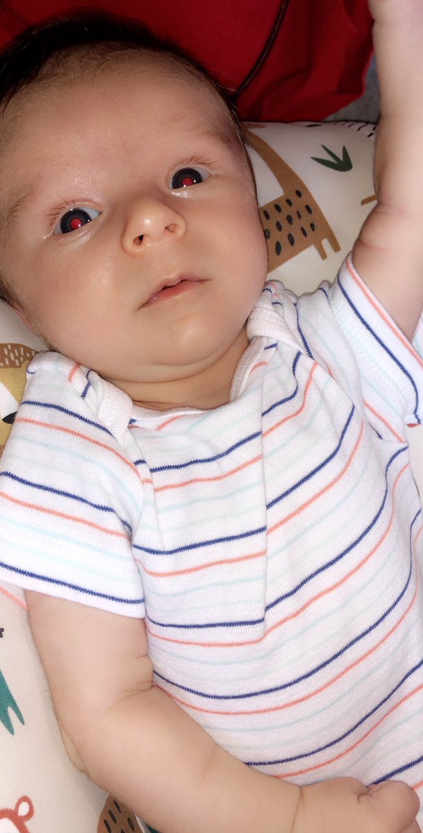 CaitlynPetty's tweet photo. My baby is almost a month old 🥺🥺 https://t.co/nPNMnYCbKx