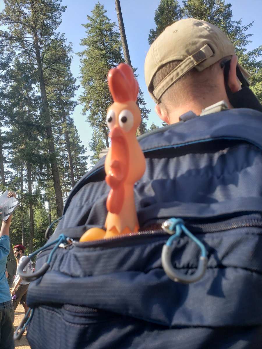 Troop400's tweet photo. Chicken fish has been with us now he has a face mask https://t.co/laBuBaYFdk