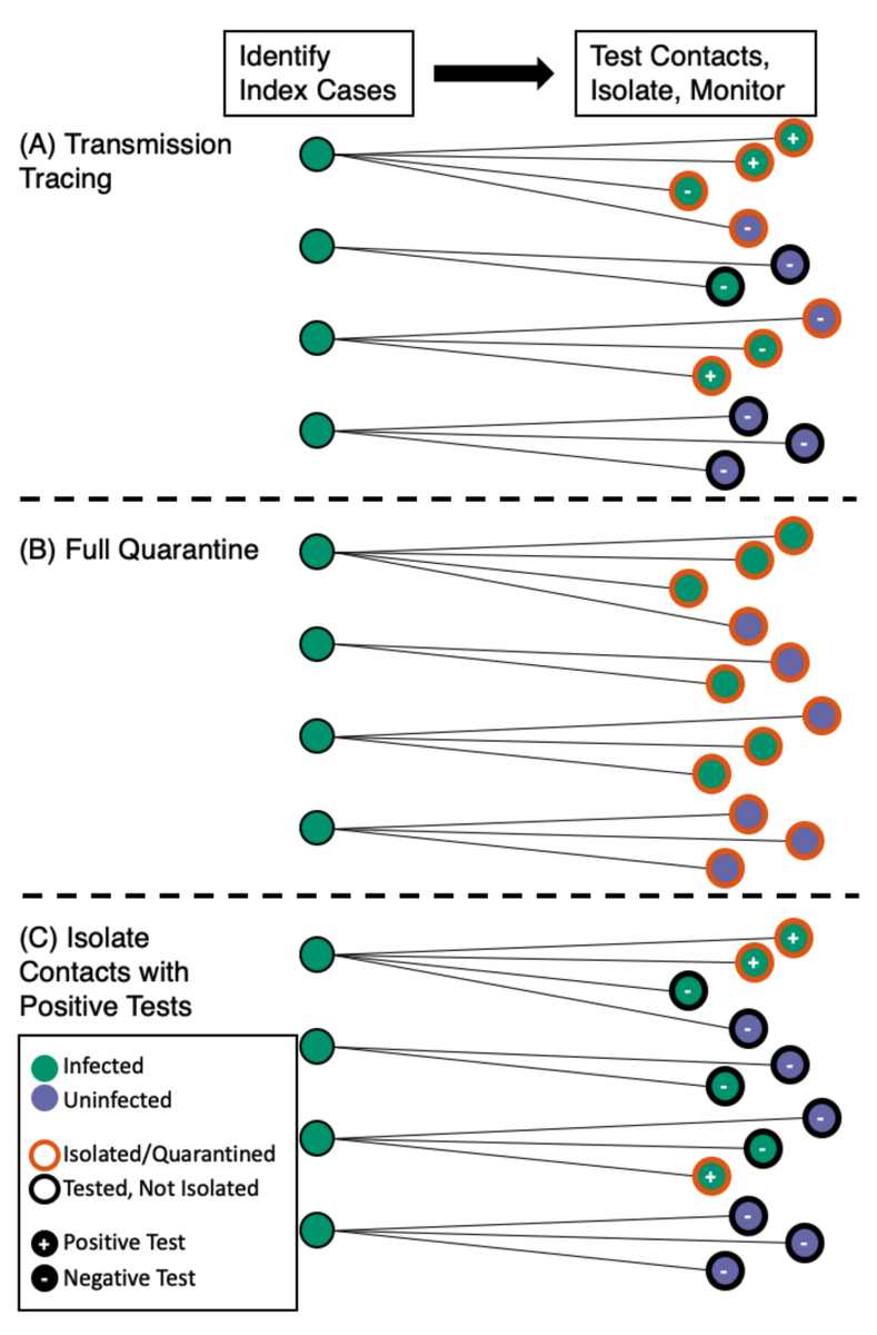 This suggests a strategy of "transmission tracing" where the main focus is isolating all of the contacts of anyone who is believed to have transmitted the infection 4/