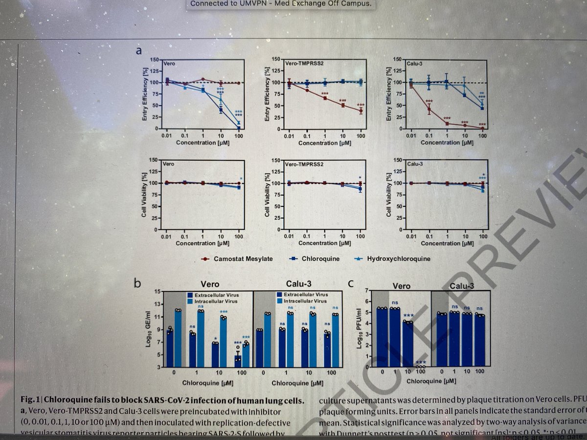 As the data show, (H)CQ fails to show a meaningful effect here. Conversely, an agent that inhibits TMPRSS2 (which Camostat does, red line in first figure) has significant inhibitory activity in these cells.