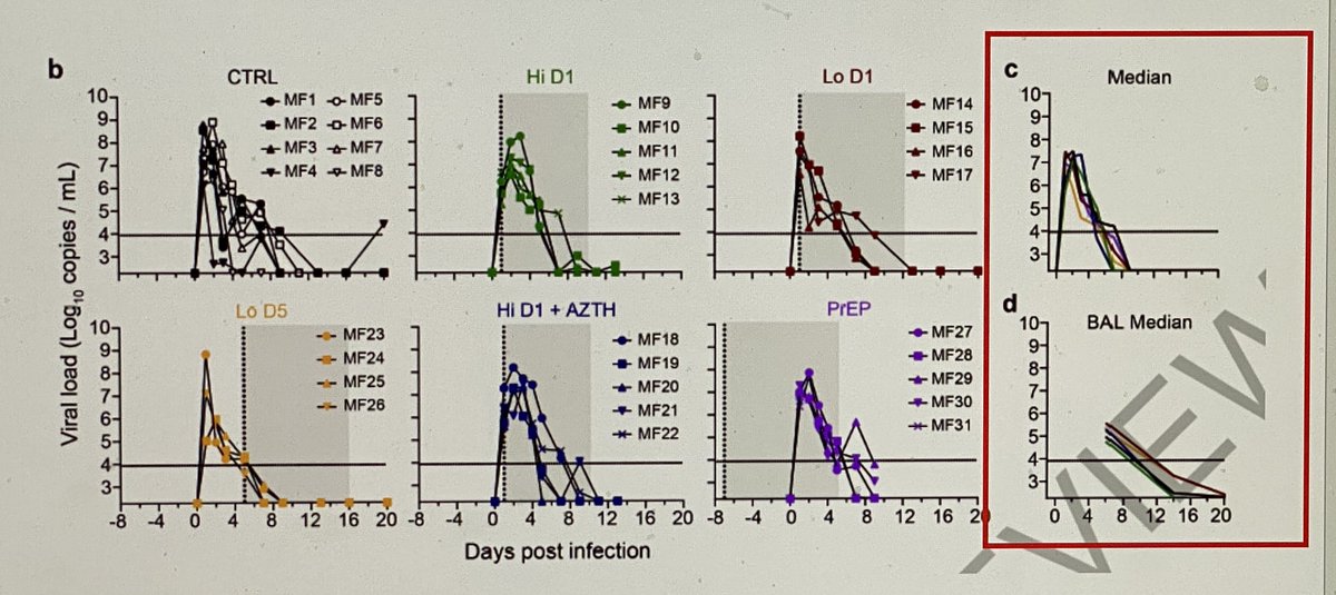 Figures show the impact of pre exposure HCQ, low/high dose early treatment, or low dose late treatment on viral kinetics in the macaque respiratory tract. Pay attention to “c” and “d” below. The control and HCQ overlap.HCQ had no impact on viral kinetics or progression of disease