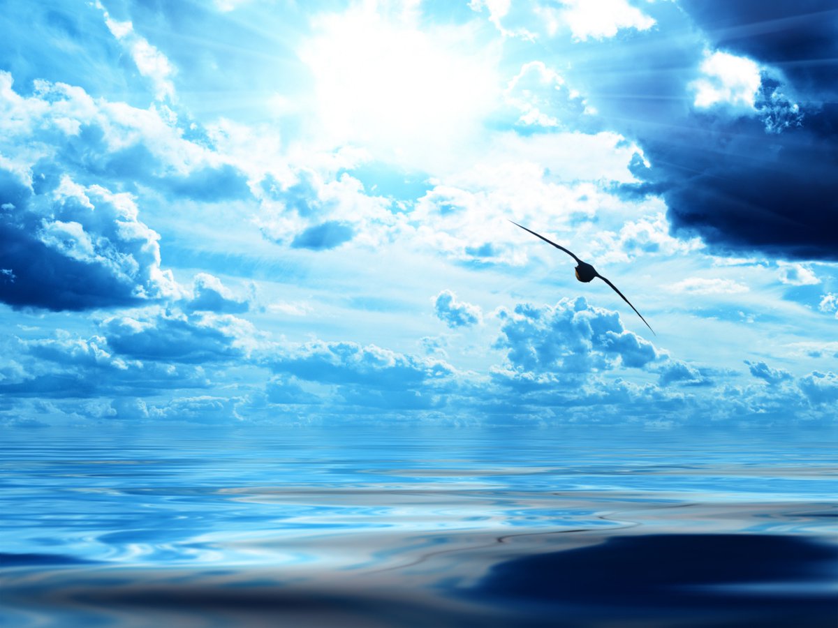 いよいよ8月から学校開放が再開となります⁂

ただいま新規加入希望が多く、新規の方も入りやすい雰囲気です。

ご検討の方はまずはHPからゲスト参加申込をお願いします！