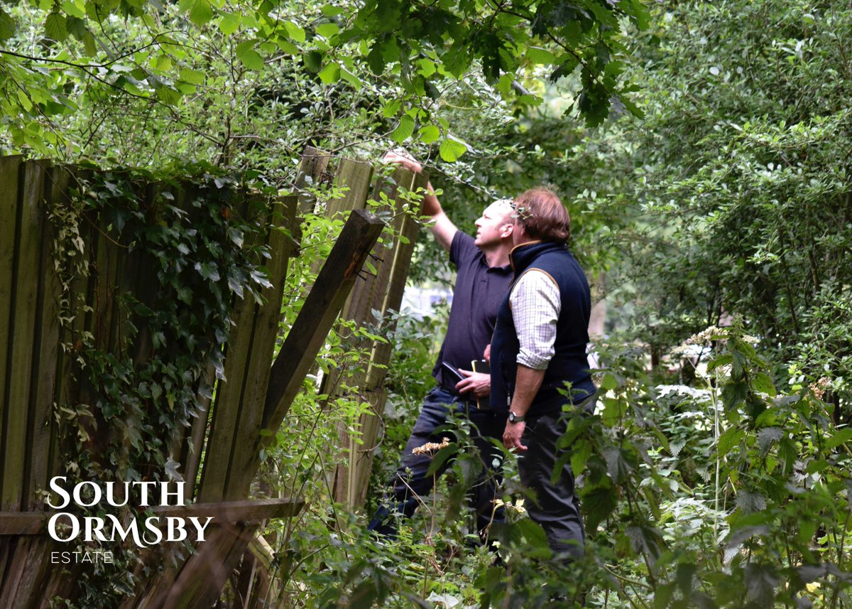 southormsby's tweet photo. Paul Barnes and Steven from the local woodyard were pictured measuring up for some much-needed fence improvements. 
#managingtheland  #fencerepairs https://t.co/1UN6V9Ibly