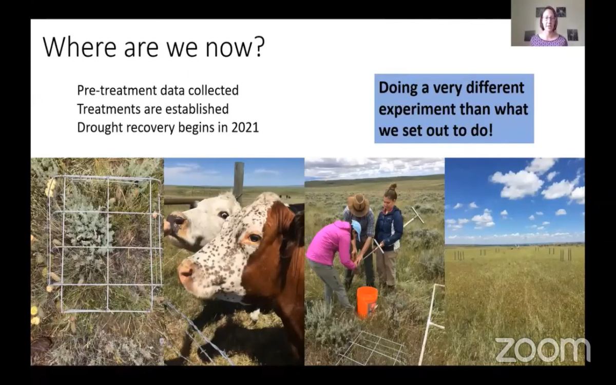 Experiments in the wild... how do you manage experimental rigor and treatments with the logistics of landowners livelihood practices? Ask  @drkimkomatsu #NACCB2020  #Conservation  #ScienceForAll  #ConSocSci