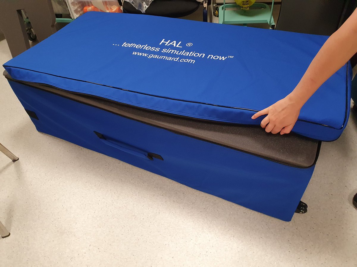 Kelly Fielding 💙 tweet media