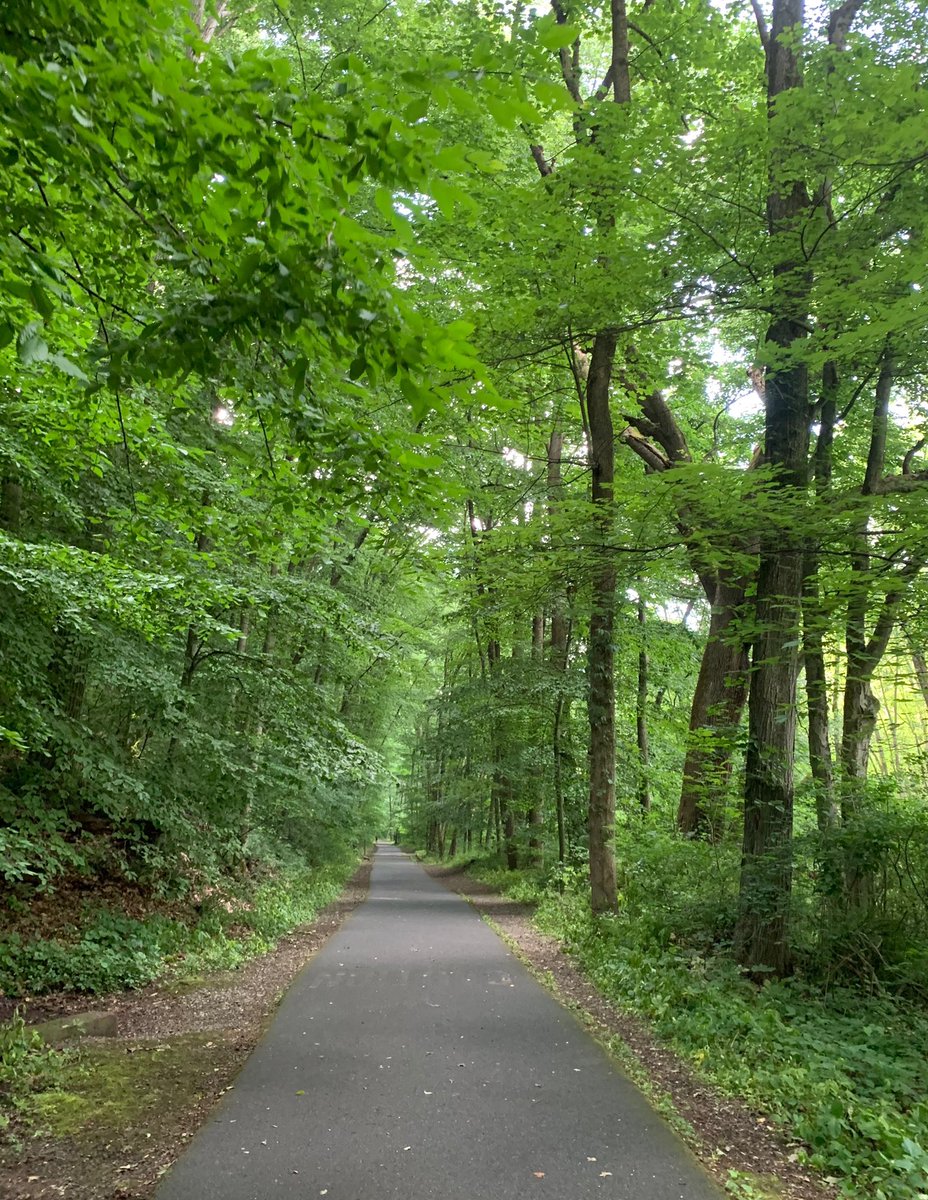 No matter how “prestigious,” I needed some nature in the immediate surroundings. Oh, and when I couldn’t find parking for 20 minutes, and realized I didn’t feel like dealing with *that* in residency. None of this is on “the list” and I felt silly admitting it mattered to me -
