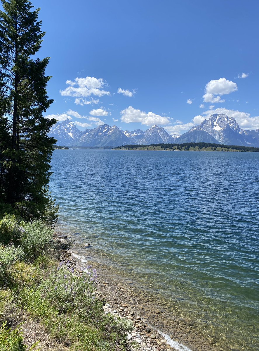 4. The BIG question: Since I don’t have to travel, should I just apply everywhere? Probably not a good idea! BUT - is there a place or two you’ve always dreamed of maybe living, but in a ‘normal’ interview season the flights might be too expensive? Go for it!!