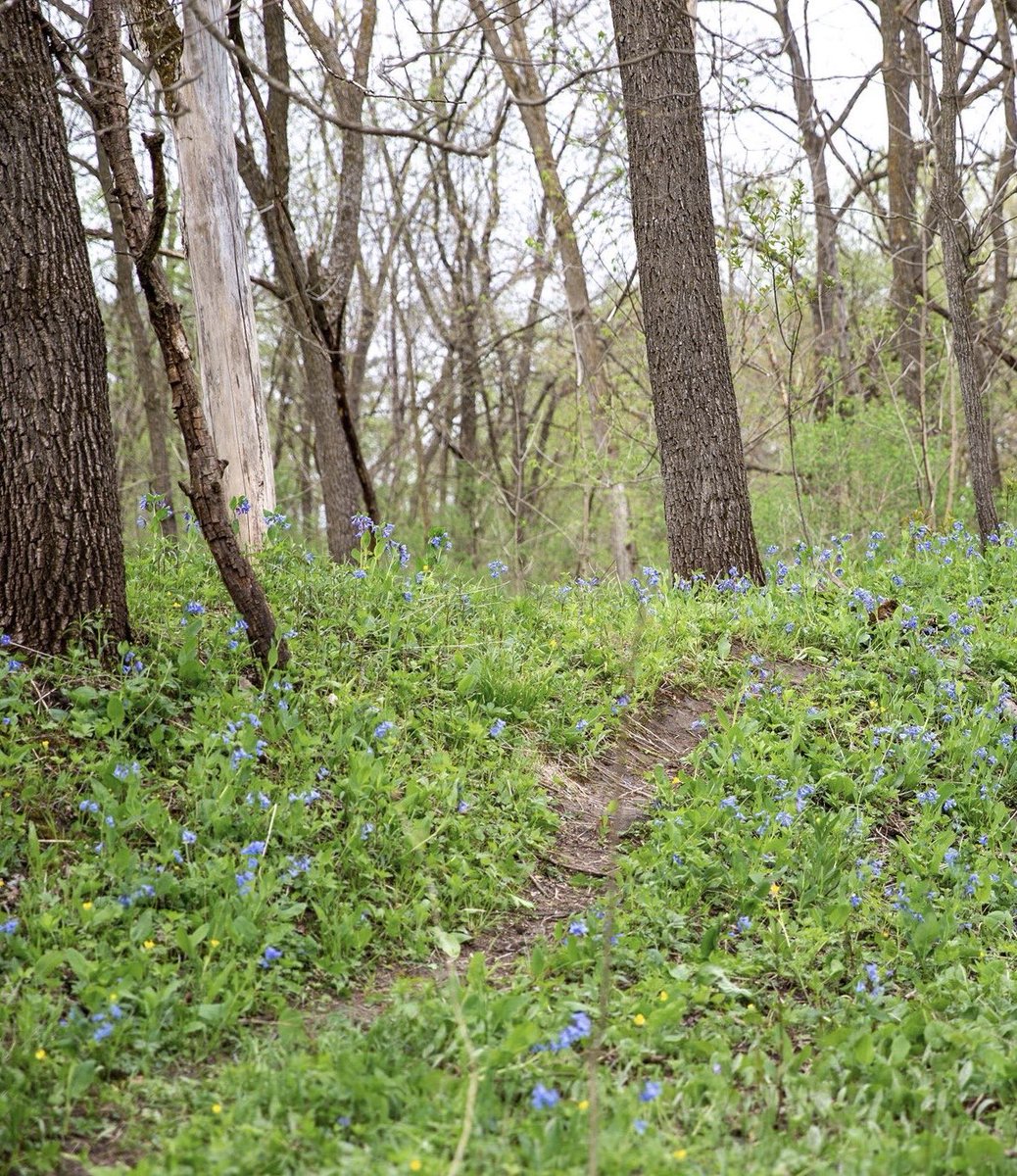 If you don’t have constraints keeping you 100% locked into one region, now is your chance to explore! A Guarantee: You’ll be amazed at the opportunities and growth that are OUTSIDE your “comfort zone.” Take it from a Northeast gal, who found herself in the Midwest, then West!