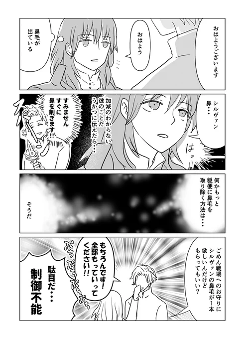 リハビリがてら小ネタ シルレス(支援S後)
鼻毛が許せる人向け 