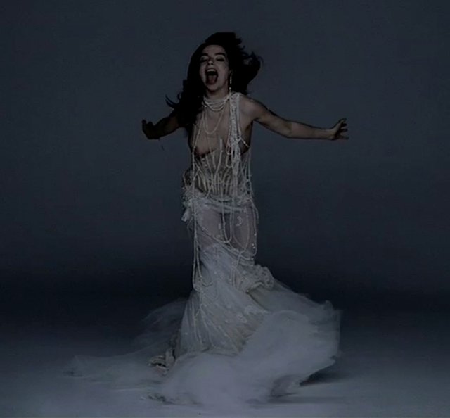 alexander mcqueen bjork