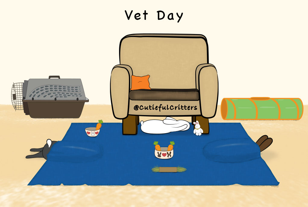 cutieful_c's tweet photo. I'm not sure who is more scared on vet days, my bunny or me. 😟
😘🐰💗

#VetDay #VetDays #Fureverbabies #bunniesarefamily #spoiledbunny #spoiledbunnies #bunnycomics #bunnycomic #bunnylife #bunnylove #bunnyrabbit  #bunnylover #bunnyart #rabbitart #bunnydrawing #livingwithbunnies https://t.co/liASigv58F