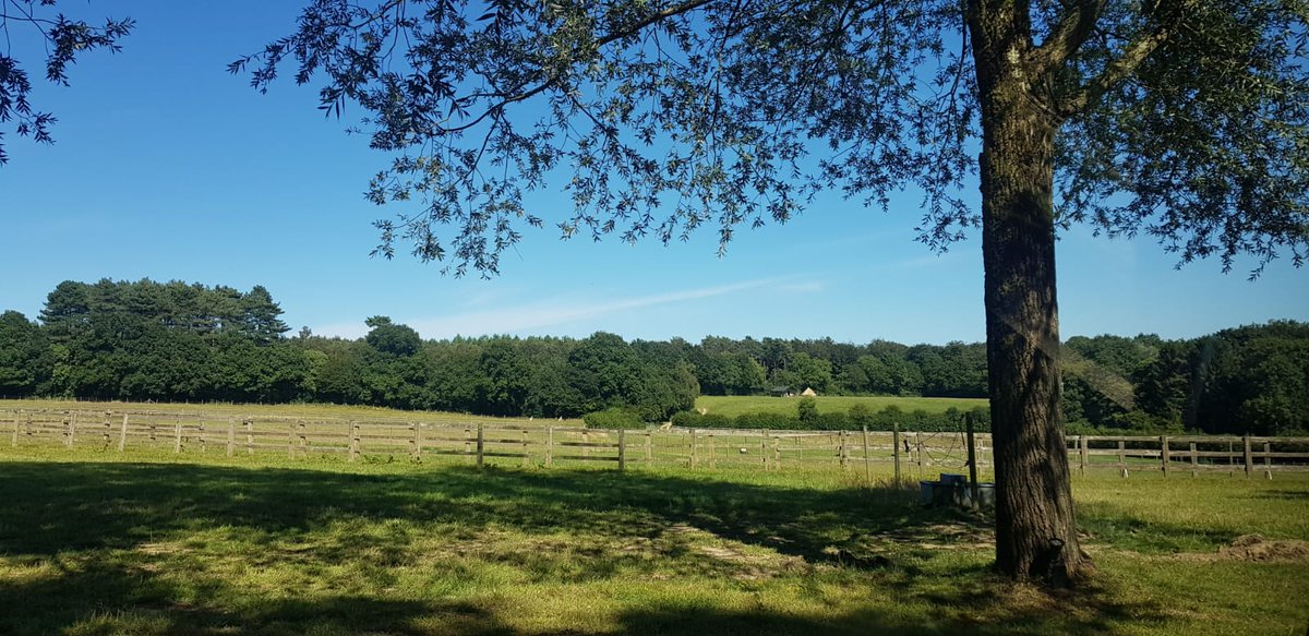 This is our view for the next 2 days #swallowsoastfarm #beautiful #stillsocialdistancing