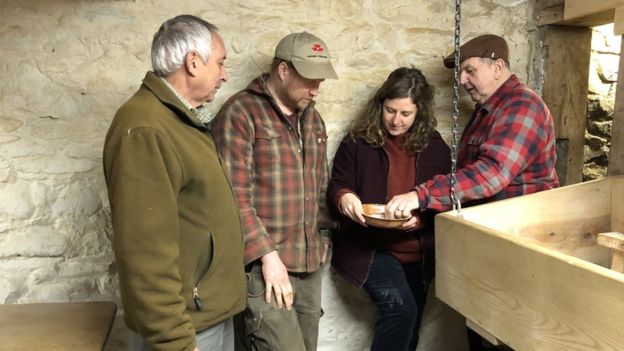 We have followed lots of leads in the last year, but we still have not reached a definitive answer on how to process our #oats for human consumption! Kilns, hummellers, dehullers... new leads appreciated! #seedsovereignty #graindiversity <a href="/CoediogCowboi/">Joe Hope at Cefn Coch Farm 🌳🐄🤠</a> <a href="/FelinGanol/">FelinGanol Watermill</a> <a href="/CaerhysCOCA/">Caerhys COCA</a>