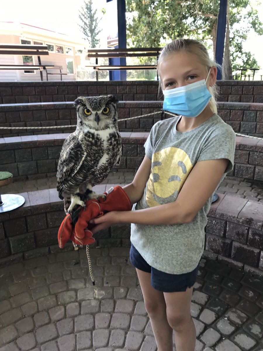 Ben Strand tweet media