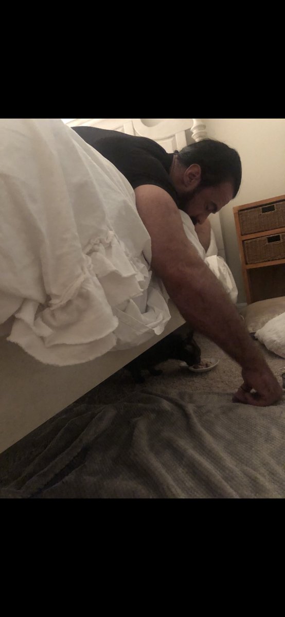 DMcIntyreWWE's tweet image. We lost our little girl yesterday.  If you have a pet, don’t take a moment for granted. They’re better than people. Every time you have to leave them tell them they’re loved, you might never get that chance again. Cherish every moment. Thank you for lighting up our lives, Piper