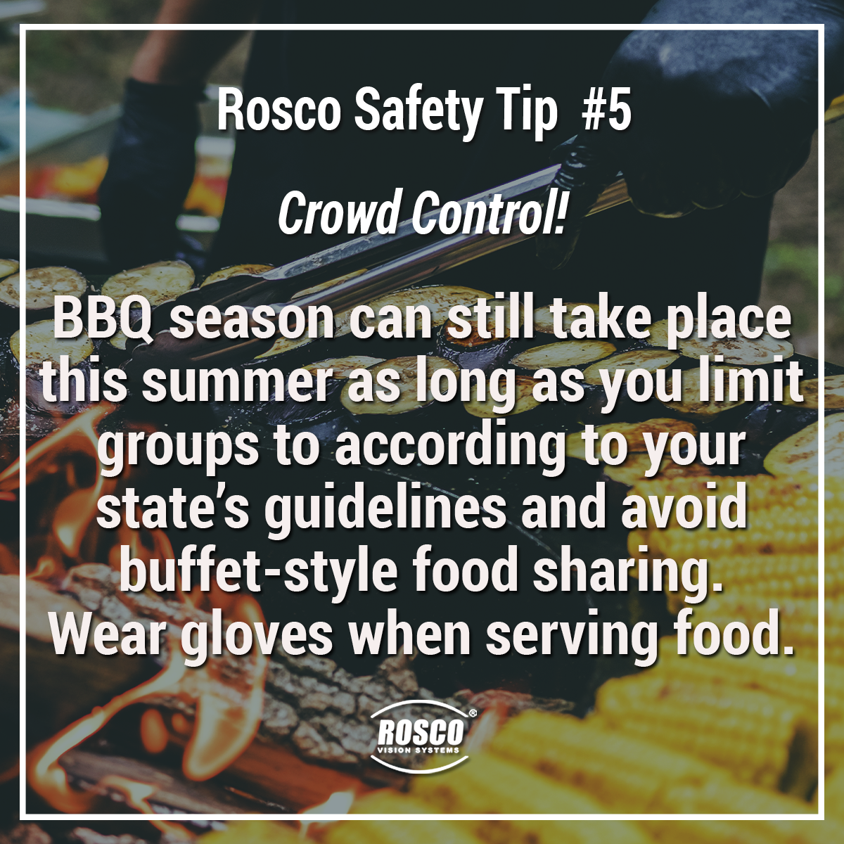 RoscoVision's tweet photo. BBQ season is in full swing, but we still must continue with safety precautions to limit our exposure to #COVID19. Rosco's Safety Tip of the Day is to continue social distancing while following your state's guidelines on social gatherings! https://t.co/M3VoIMwKM8
