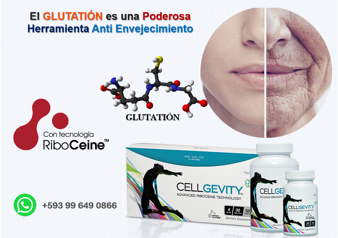 EL GLUTATIÓN ES UNA PODEROSA HERRAMIENTA ANTI ENVEJECIMIENTO

Niveles bajos de glutatión provoca que los radicales libres pueden dañar el cuerpo en mayor medida y acelerar el proceso de envejecimiento

WhatsApp +593 99 649 0866

#RiboCeine #Glutation #MaxOne #Ecuador #Cuenca #Max