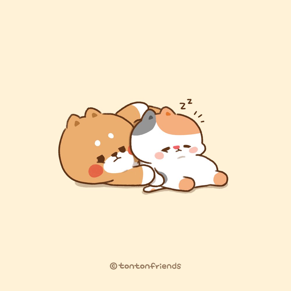 tontonfriends's tweet photo. Good night #Yuta #Bella https://t.co/aagJItAuti