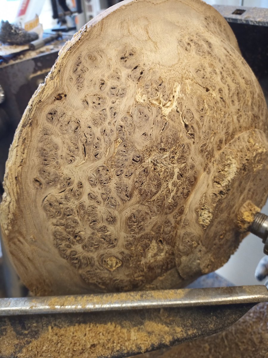 Looking better...shame I have to forfeit my civil liberties and wear a mask and visor...but I'm just a sheep...