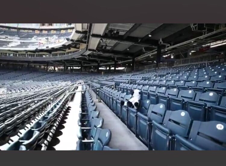 tdsKristen's tweet photo. @Pirates https://t.co/Y092Y0oJWj