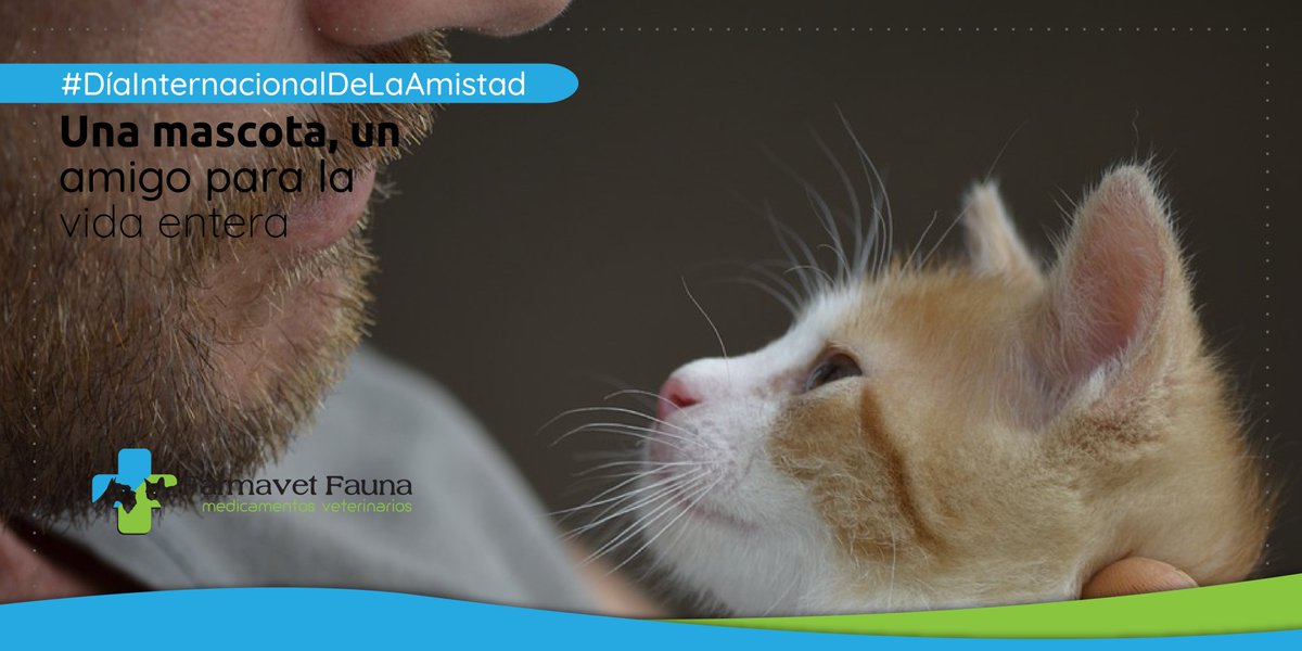 FarmavetFauna's tweet photo. Celebremos por la amistad, sobre todo por esas peludas que duran para toda la vida.

Feliz #DíaInternacionalDeLaAmistad ❤️ https://t.co/1bJQDqNcFs