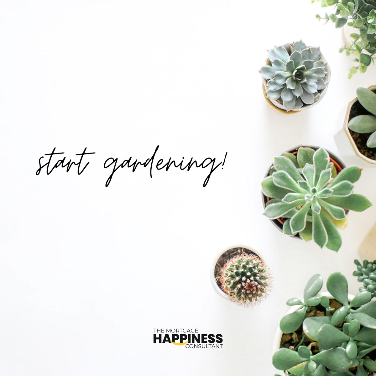 CandeceJune's tweet photo. Tell me,  what’s in your garden? 

#roadtohomeownership #stoppayingrent #themortgagehappinesscomsultant #poweredbyhamilton https://t.co/9cc2u38SJO