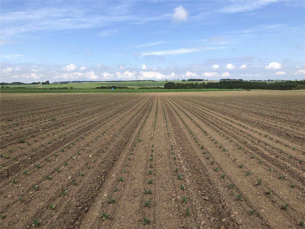 Galbraith_ABD's tweet photo. OUTSTANDING SUCCESS AT CLOSING DATE π
Land At Kellyfield, Arbroath
If you are considering the sale of your farm and land please contact Tom Stewart on 01224 860710.
#SoldAtClosing #ClosingDate #Farming #NEFarming #FarmSales #LandSales #ExpertsInOurField #FarmingExperts https://t.co/iaMXf5altR