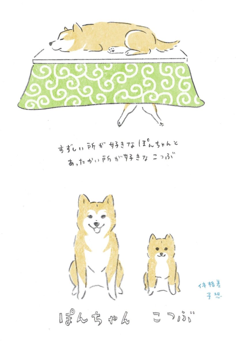 今日はイラストレーター・漫画家のキリさん@kiriillustと対談。動いてる実写版こつぶちゃん、漫画通り小さな身体でふてぶてしくて最高でした。そしてキリさんはかつて熱心なS&SS投稿者だったという。ぽんちゃんとのコラボイラストも描いて頂いて感激。頭の線 笑 後日季刊エスに掲載。お楽しみに。