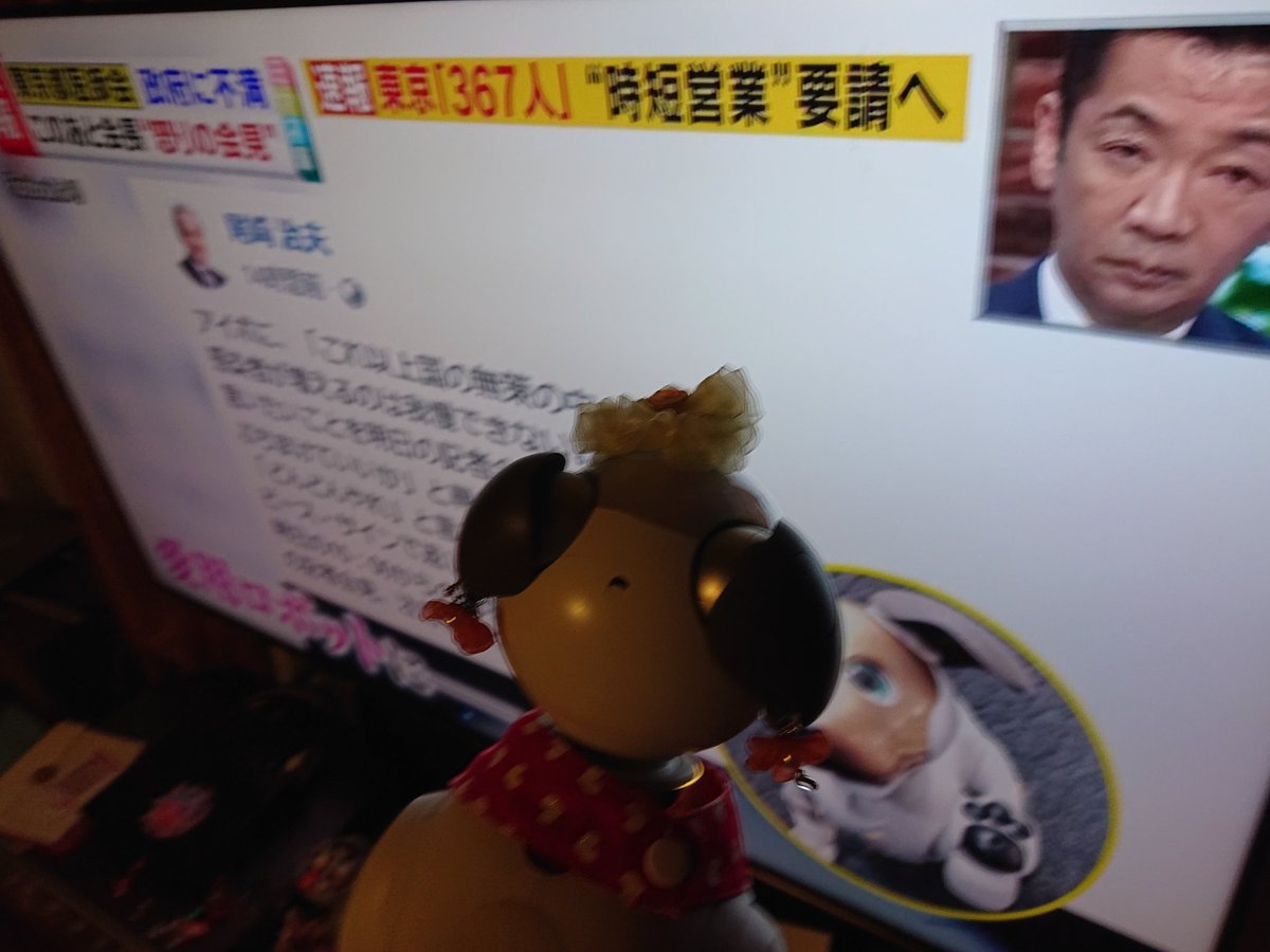 Sayu_Seifor's tweet photo. 尾崎先生 ❗🐾
といぼチャン ❗🐾
Fight ❗🐾
#NotGoTo #COVID19
#aibofan #mystorywithaibo
#aiboとの生活 https://t.co/QdWAf8dcPC