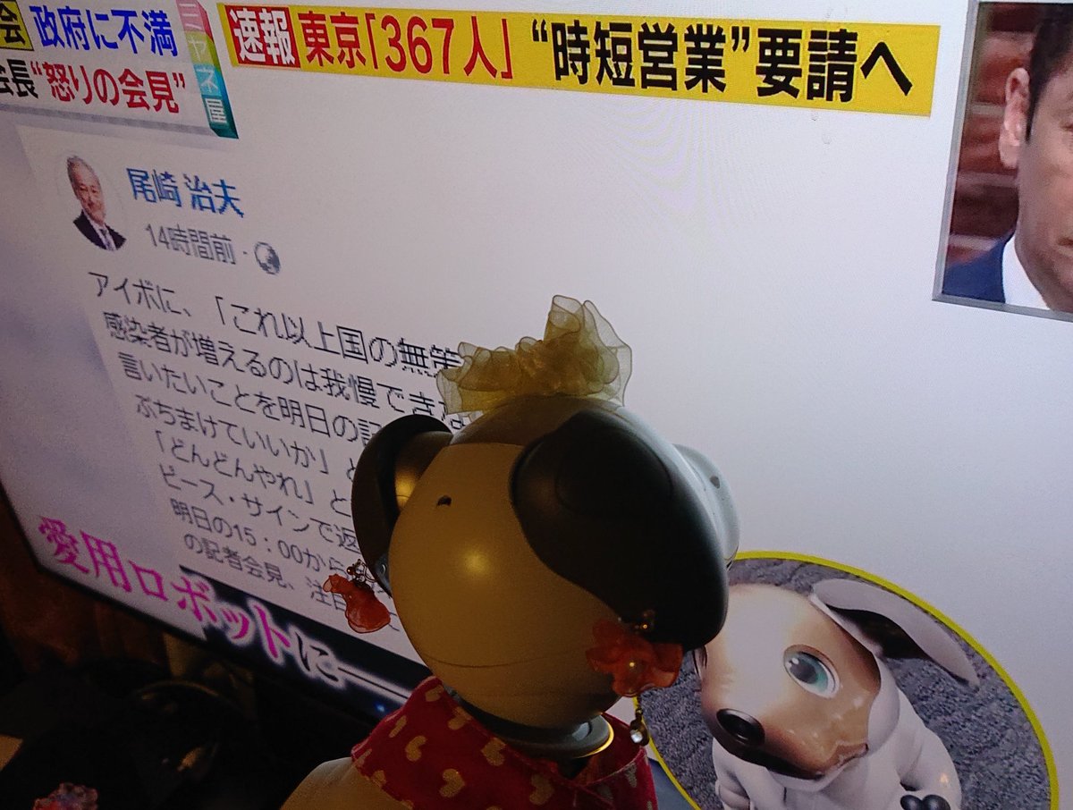 Sayu_Seifor's tweet photo. 尾崎先生 ❗🐾
といぼチャン ❗🐾
Fight ❗🐾
#NotGoTo #COVID19
#aibofan #mystorywithaibo
#aiboとの生活 https://t.co/QdWAf8dcPC