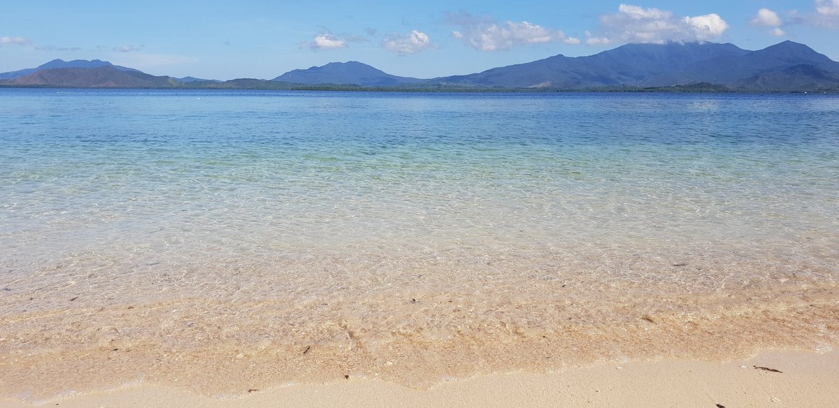 sinonbulls01's tweet photo. starfish island philippines https://t.co/oFP6M0Zm0f
