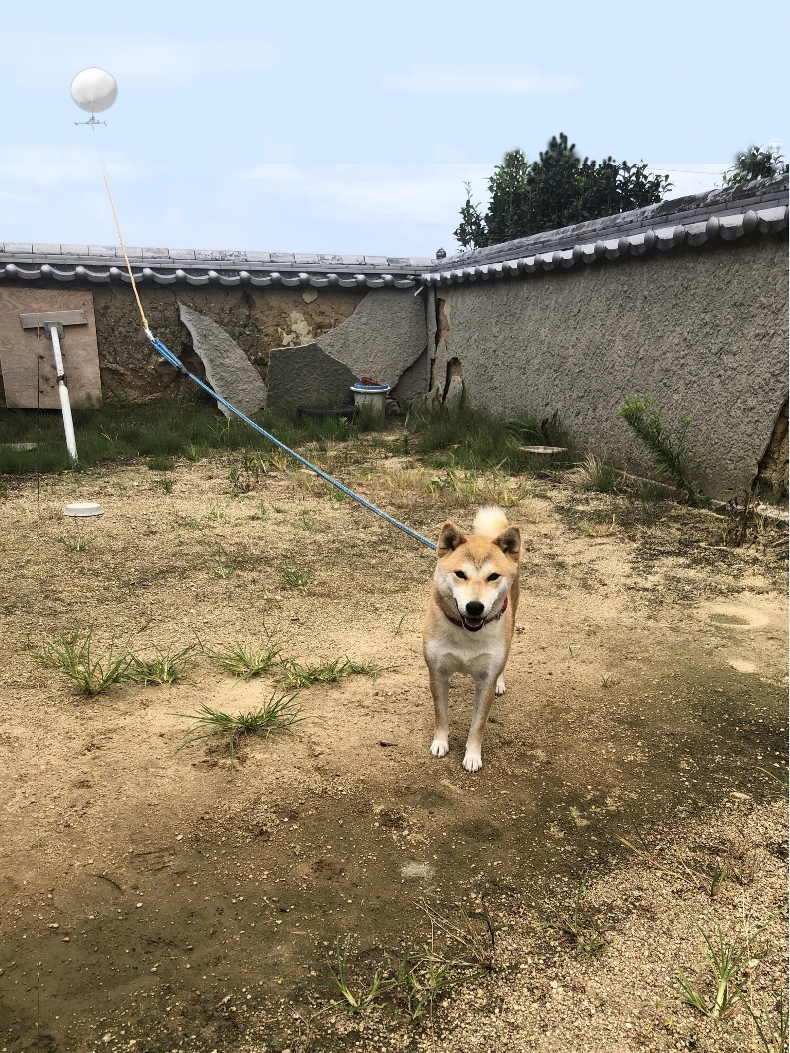 @BristolShubun すみません。 