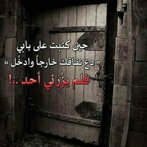 العـمر چـن فـصل ميـت ڪل طـعـم 

مـابيـه

#مخاوي_الذئب