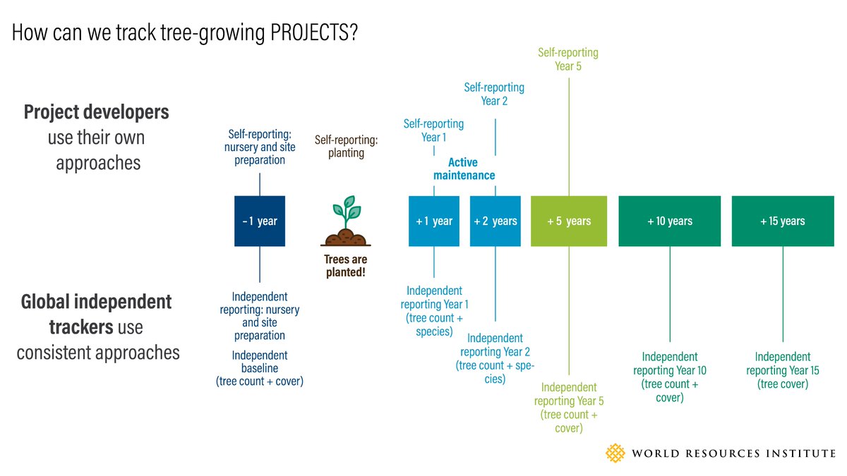 We’re developing a new protocol that tree-growing projects can use to track their own progress over 15 years. Then, an independent tracker can verify those claims and report back. Here’s our timeline:  https://www.wri.org/blog/2020/07/trillion-trees-tracking-challenges