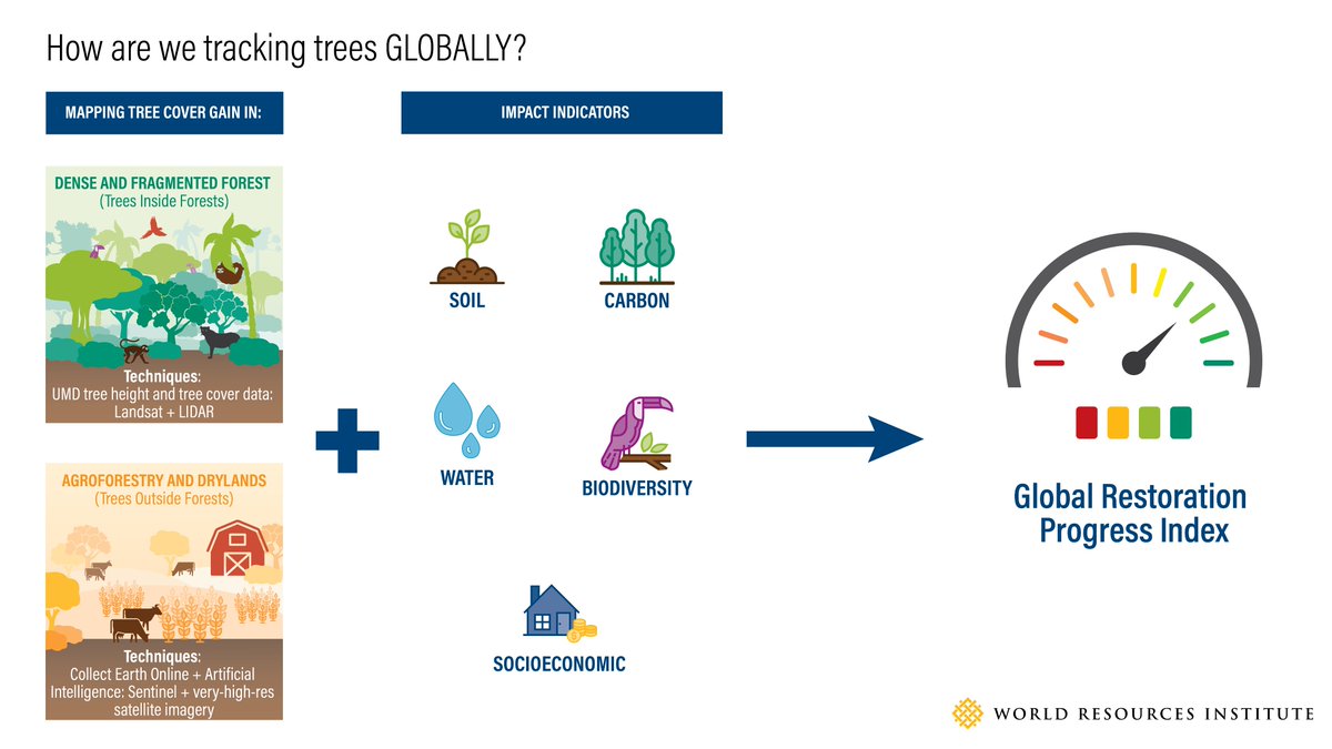 We’re building globally consistent datasets that paint a more accurate picture of tree cover gain both inside the forest and on farms and pasture. The goal? A Global Restoration Progress Index.  https://www.wri.org/blog/2020/07/trillion-trees-tracking-challenges