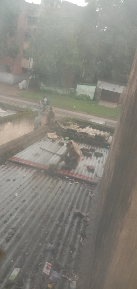 BeckBroAman10 tweet media