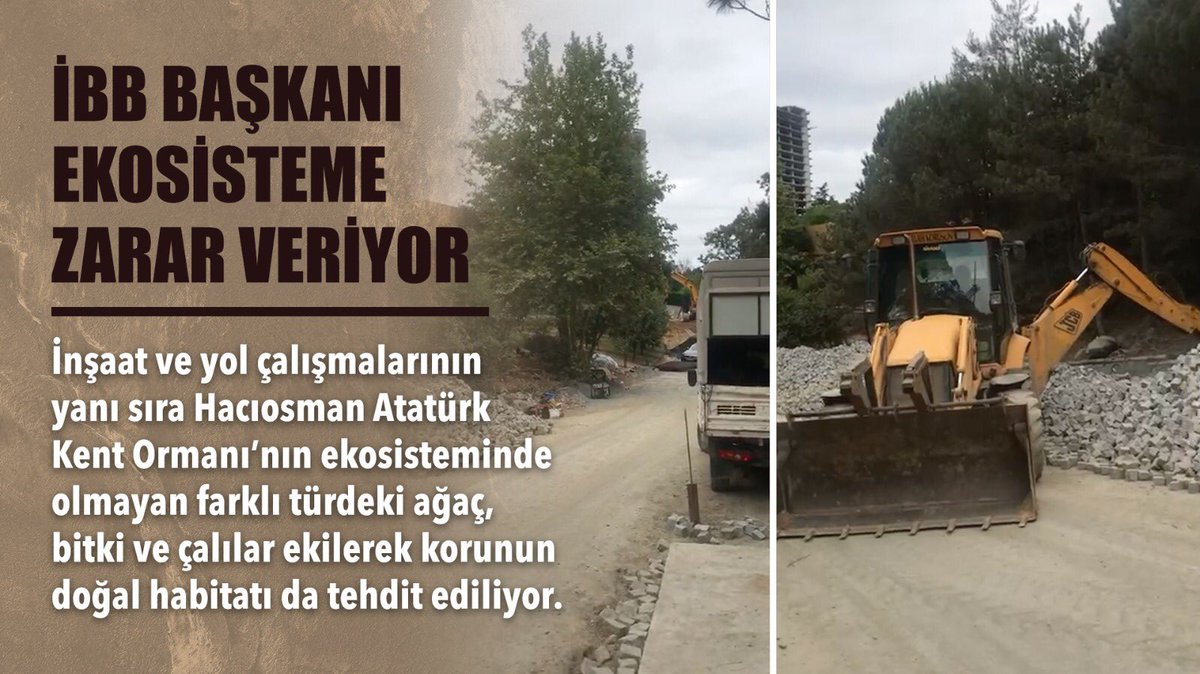 koksalyzb's tweet photo. Doğa hepimizin sahip çıkalım. #HacıosmanKorusu https://t.co/92BgWehxIi