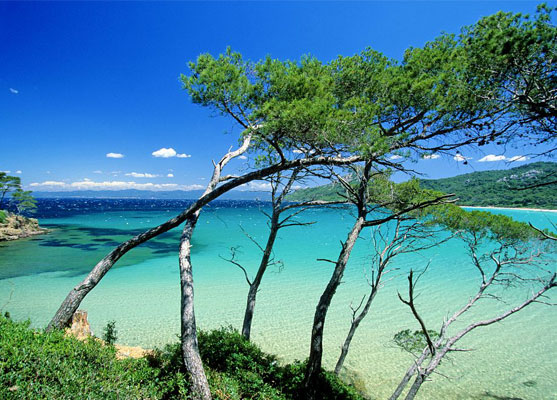 Envie d'une escapade au rythme des flots et du chant des cigales sur les îles de la Côte d'Azur? On vous emmène faire un tour d’horizon de ces joyaux de la Méditerranée ! Voici les îles #CotedAzurFrance à ne pas manquer ! https://t.co/HZXPqdq0Wc @VisitCotedazur @VisitVar https://t.co/r6M9MJQ6Km