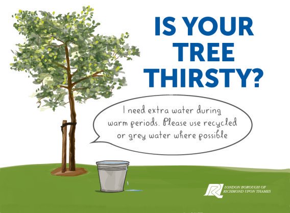 LBRUT's tweet photo. Please help us keep the borough’s newest trees healthy over the summer, by giving them a bit of water, particularly during the current #heatwave. It if there's a tree near your house looking thirsty please do give it a drink 🌳💧 https://t.co/vscuTPZWMC