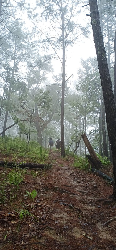 HenryBrook3's tweet photo. #the 7the EC footpath journey for 3 4 hrs. to reach village.chandeltomitong,laarpu,Rosankhur https://t.co/amcW7vVozD