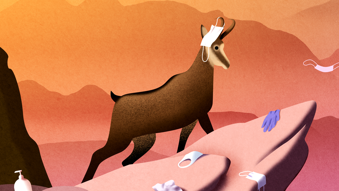 🦌Una mascarilla higiénica común, abandonada en un 
entorno natural, puede tardar en degradarse entre 300 y 400 años

😷La mascarilla es para ti, no para la naturaleza. Protégete frente a la #COVID19 y protege también al entorno

#RecuerdosInolvidables