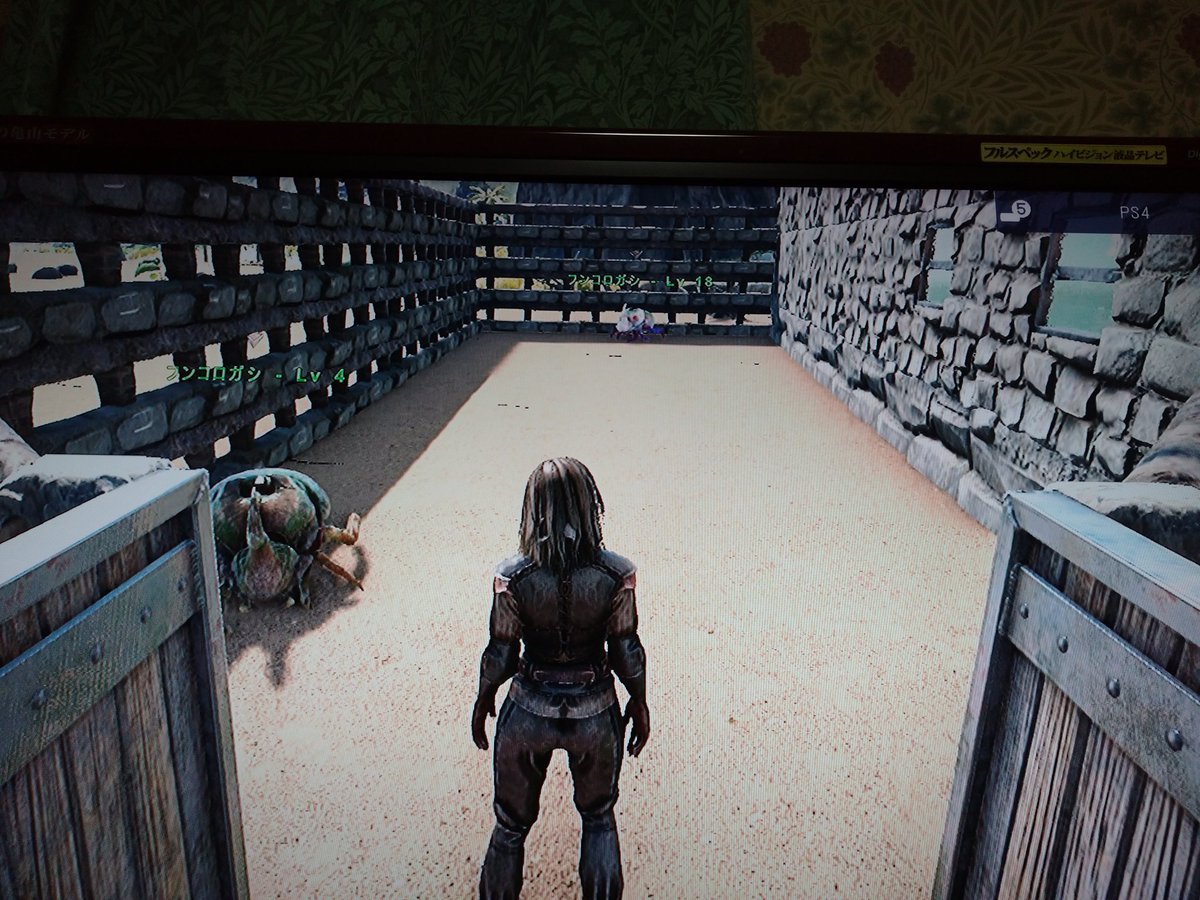 マロン 敷地の一部を仕切ってフンコロガシの牧場にしました 原油と堆肥を作ってもらう Ark マロン 敷地の一部を仕切ってフンコロガシの牧場にしました 原油と堆肥を作ってもらう Ark
