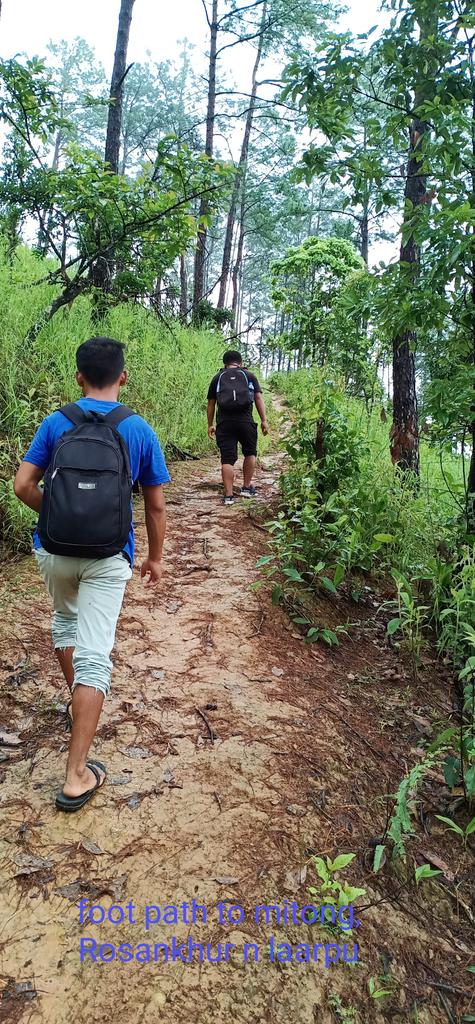 HenryBrook3's tweet photo. #the 7the EC footpath journey for 3 4 hrs. to reach village.chandeltomitong,laarpu,Rosankhur https://t.co/amcW7vVozD