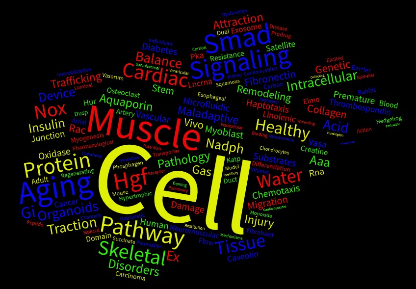 AJPCellPhys's tweet photo. American Journal of Physiology - Cell Physiology word cloud collection for July articles. Read all the articles at https://t.co/O6HrABzqZg
#aging #pathology #myotwitter #publishedinAJPCell https://t.co/SNuS5M2qZI